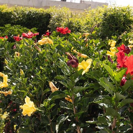 Hospedaje El Girasol Tababela キト エクステリア 写真