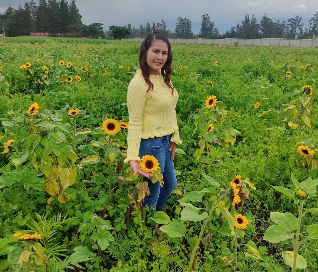 Hospedaje El Girasol Tababela キト エクステリア 写真