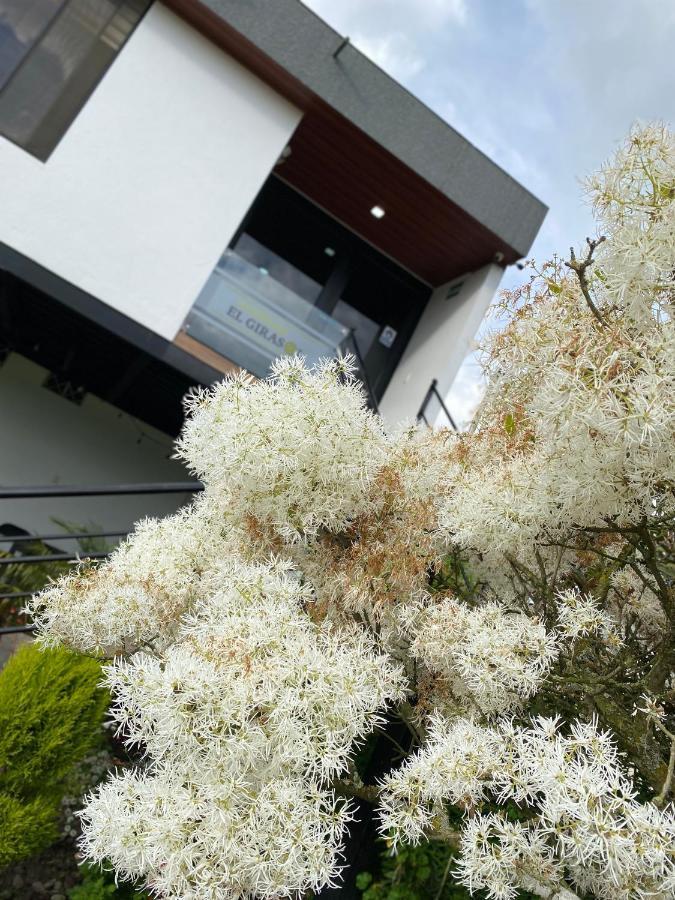 Hospedaje El Girasol Tababela キト エクステリア 写真